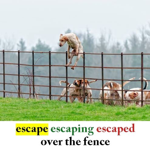 Escape2